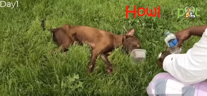 Riley was found like this