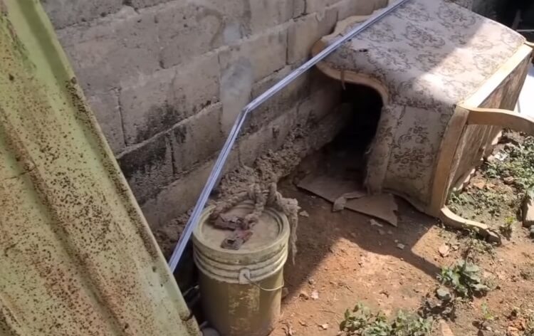 The broken couch where Max used to sleep