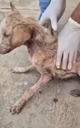 Very scared and very bad skin condition