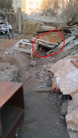 Where Mashimka was chained