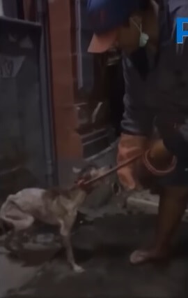 Charlie going to the vet clinic