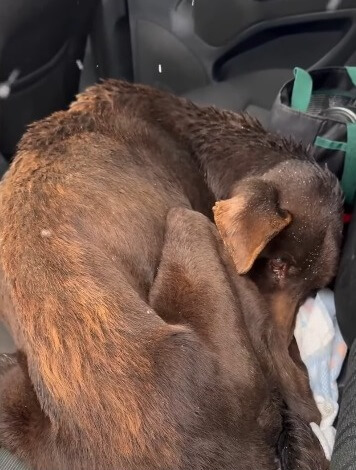 Gray going to Nadya's home