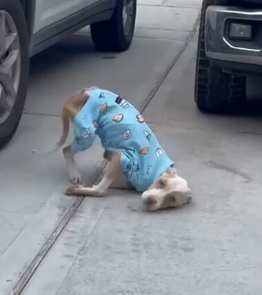 Opal repeatedly collapsing