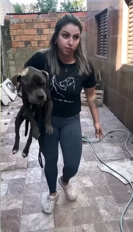 Skank couldn't walk due to extreme malnutrition