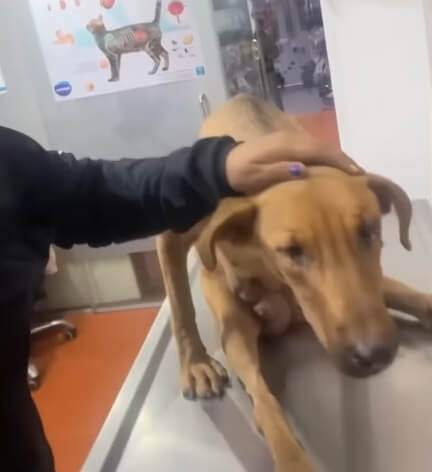 Allison in the clinic