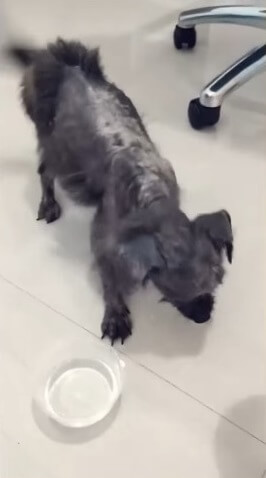 Aron took her to the clinic