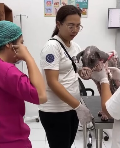 Ayana in the vet clinic