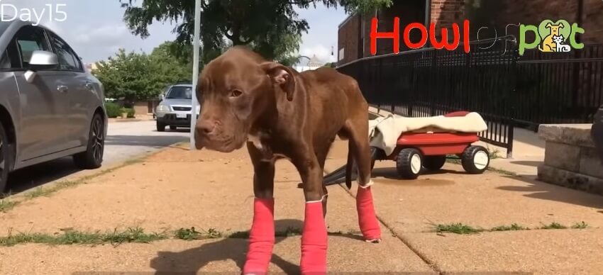 Riley getting stronger