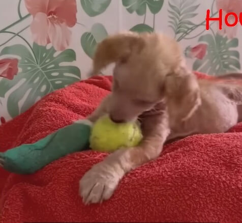 Ayla playing for the first time