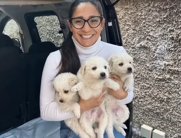 Blanca's all three puppies found