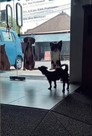 Kristin recovering slowly