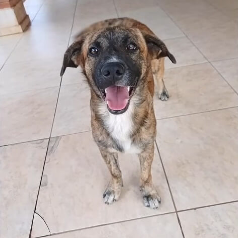 Pedrinho completely healed