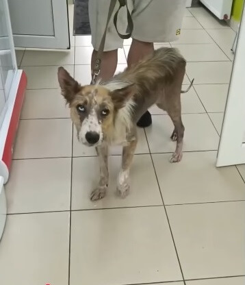 Sunny getting his spirit back