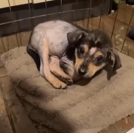 Toninio's first bed ever