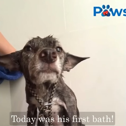 Charlie's first bath