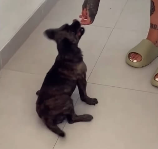 Kristin getting adopted