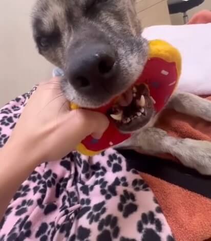 Raider getting his strength back