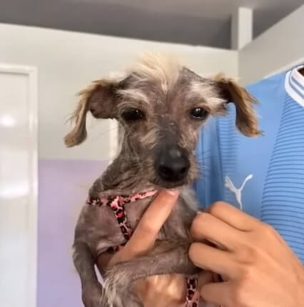 She is also healing well