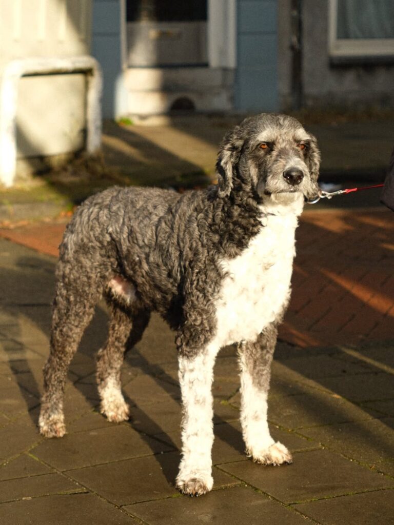 Image source: Instagram@pamilio.c