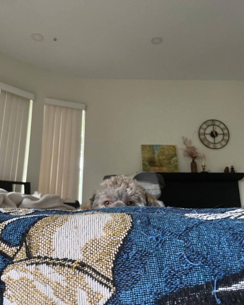 Image source: Instagram@kumaboylife