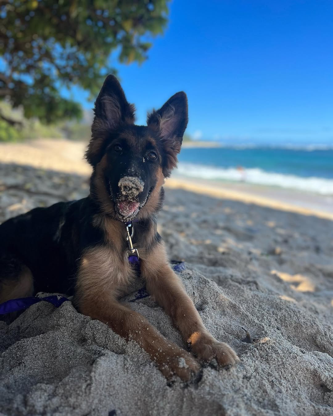 Image source: Instagram@luna.dagsd