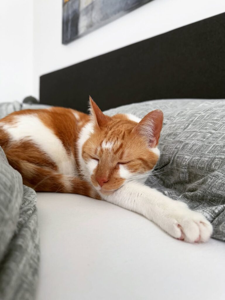 Image source: Instagram@melissa_mk2