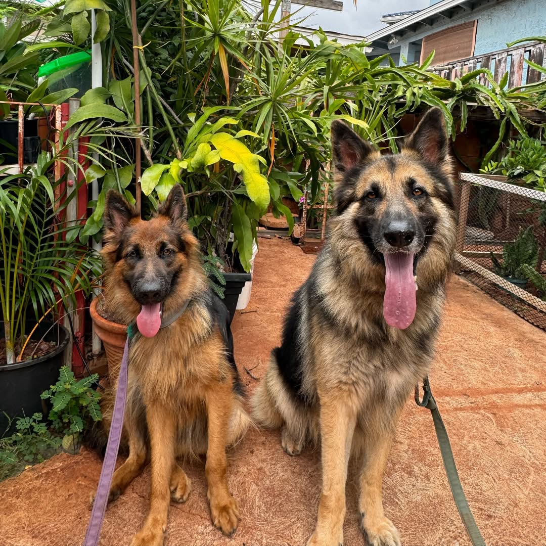 Image source: Instagram@luna.dagsd