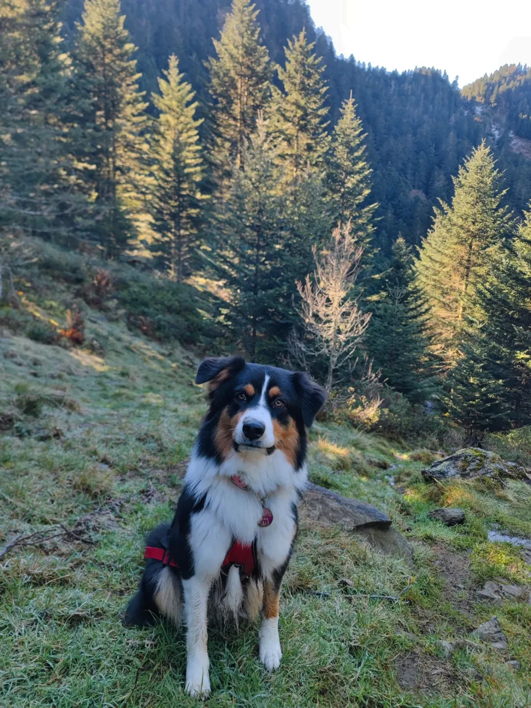 Image source: Instagram@vaika_la_vadrouilleuse