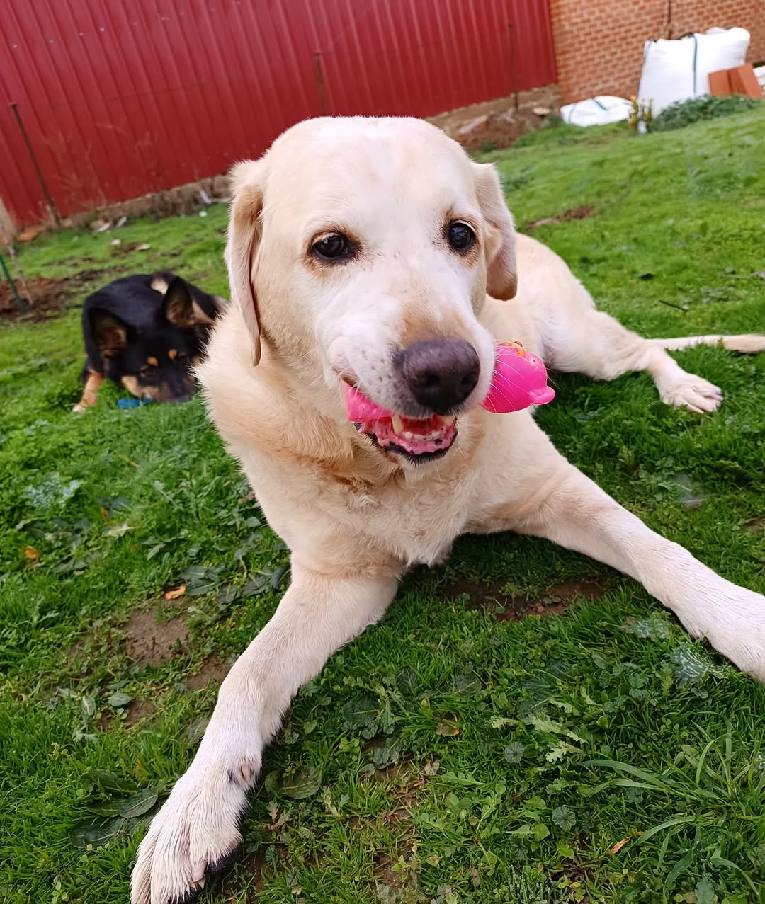 Image source: Instagram@bleys2011