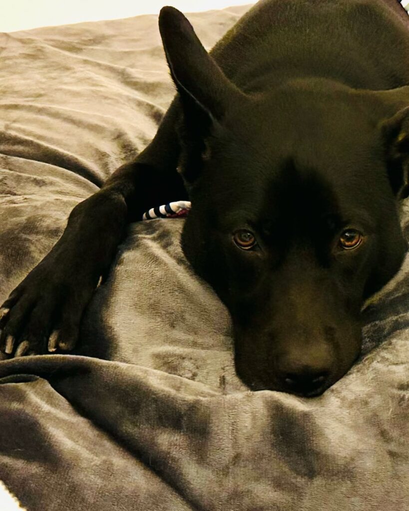 Image source: Instagram@lifebytrace