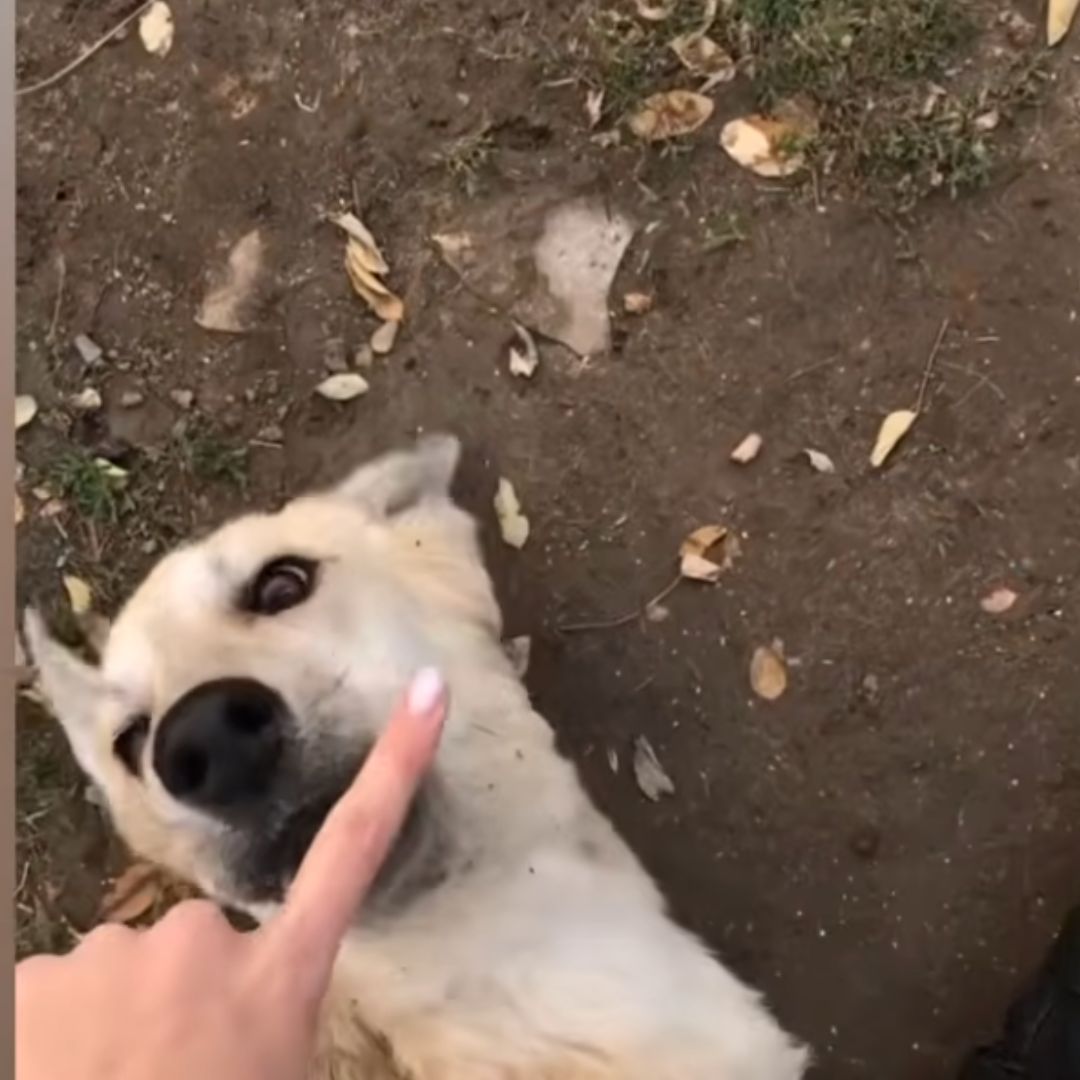 King playing with his family