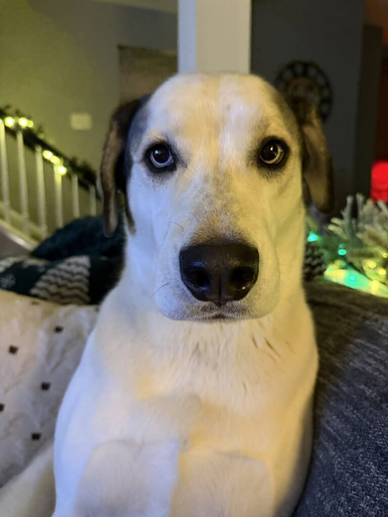 Image source: Instagram@beelinetravelelsworth