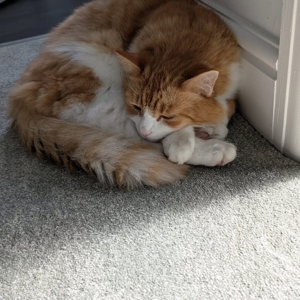 Image source: Instagram@jacq.mitkins