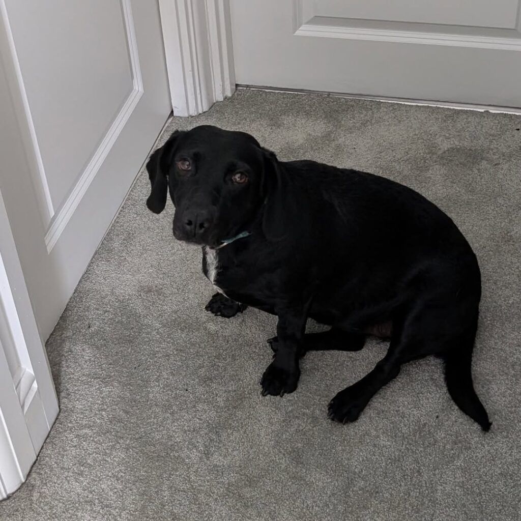 Image source: Instagram@jacq.mitkins