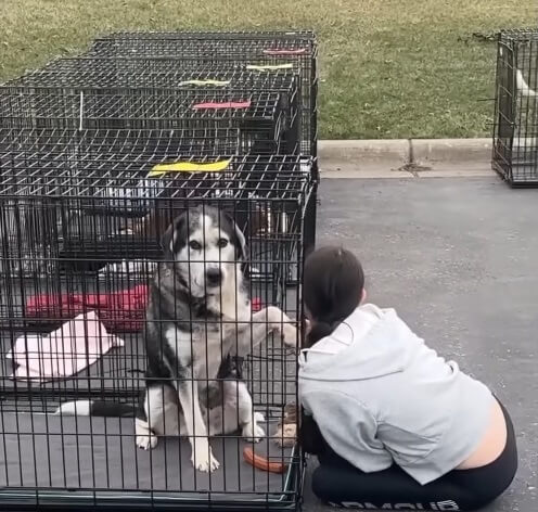 Bruno was lonely, sad and scared