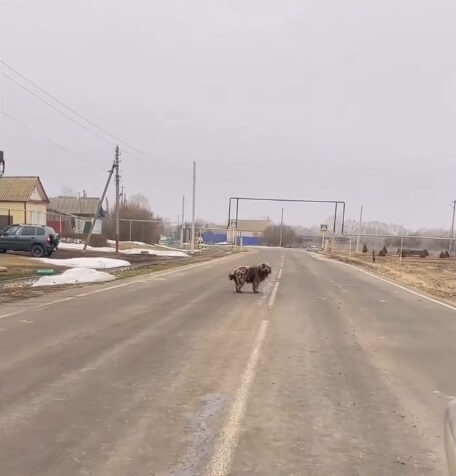 How Johnny was found