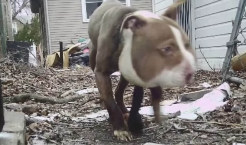 Mika's condition initially