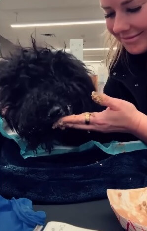 Violet's condition initially