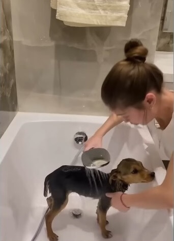 Aleksandra took Lucky home and gave her bath