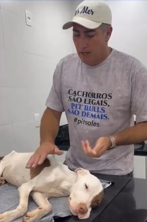 Lolo in the vet clinic