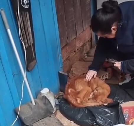 Sara's condition when she was found