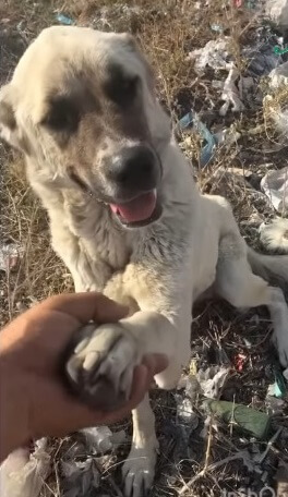 She decided to trust