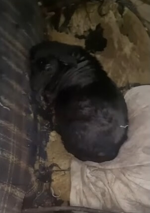 She went to the rain soaked building