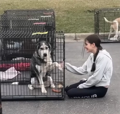 This little girl stopped for him