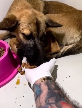 Vitoria finally eating