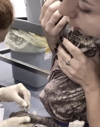 Alma in the vet clinic