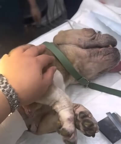 Bodam before her surgery