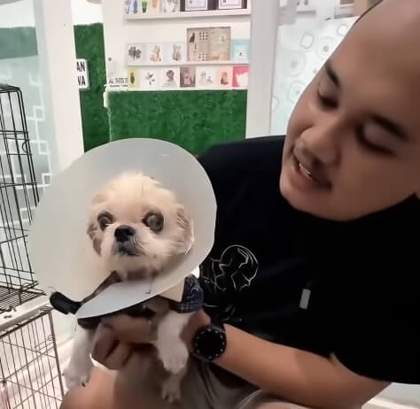 Chelsea after her treatment