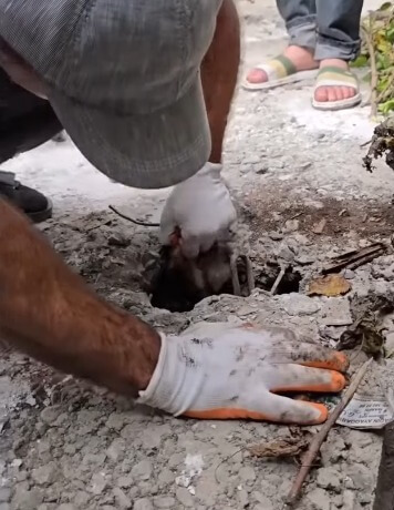 He was stuck there for 4 days