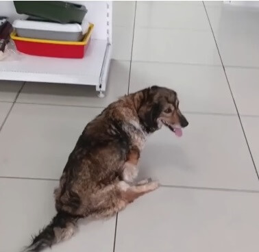 Julia before her surgery